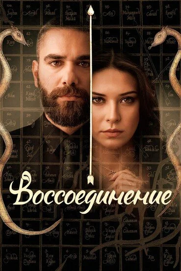 Воссоединение - постер